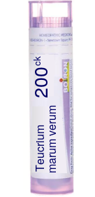 Teucrium Marum Verum 200C Pellets 80 pellets