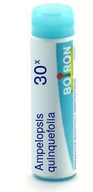 Ampelopsis quinquefolia 30X Boiron Pellets Unit Dose