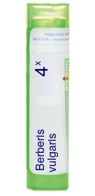 Berberis Vulgaris 4X Boiron Pellets 80 pellets