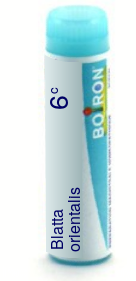 Blatta Orientalis 6C Boiron Pellets Unit Dose