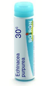Echinacea Purpurea 30C Boiron Pellets Unit Dose
