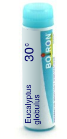 Eucalyptus Globulus 30C Boiron Pellets Unit Dose