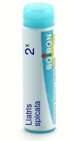 Liatris Spicata 2X Boiron Pellets Unit Dose