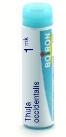 Thuja Occidentalis 1M Boiron Pellets Unit Dose