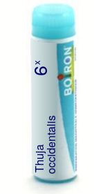 Thuja Occidentalis 6X Boiron Pellets Unit Dose